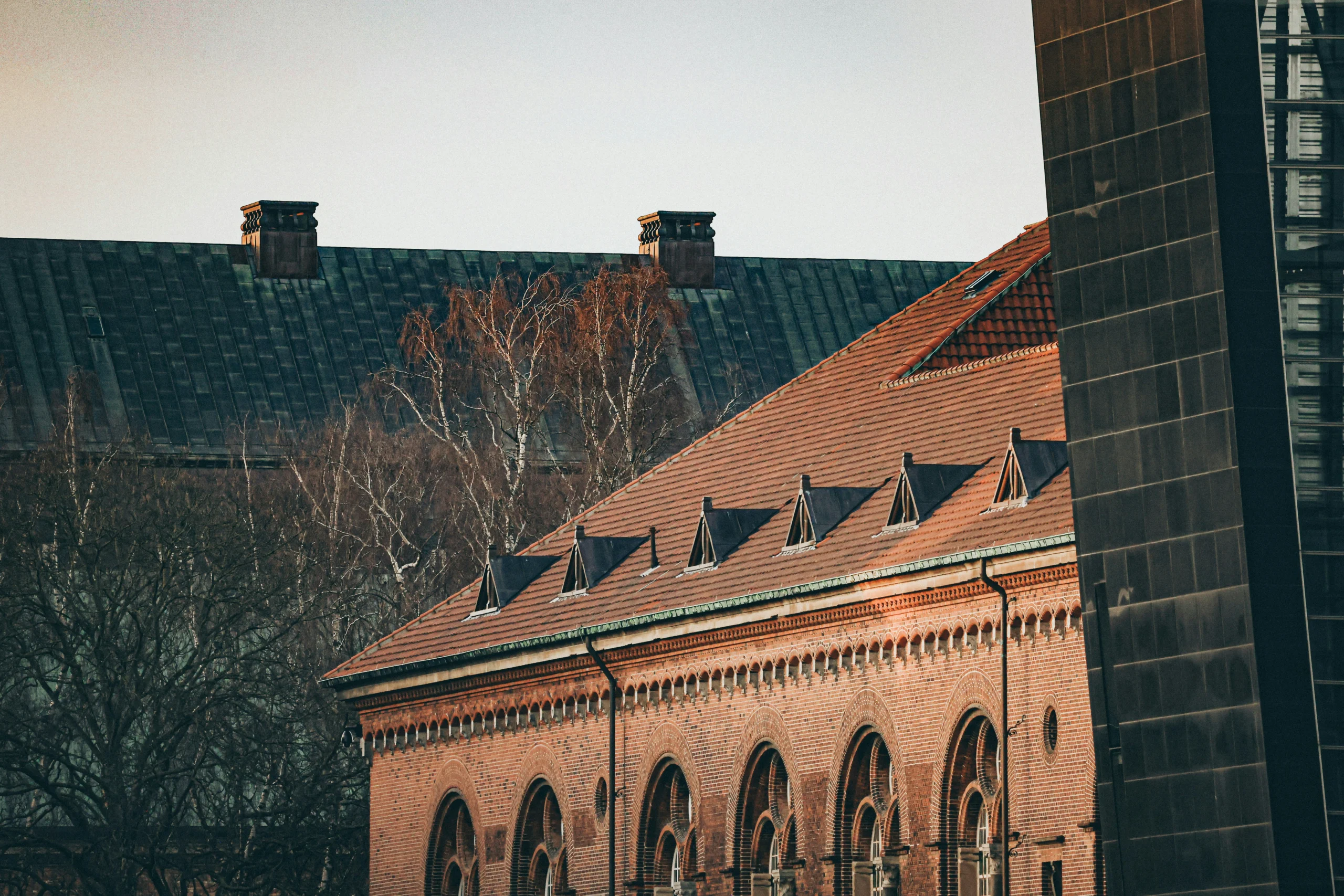 nick-karvounis-dkUsT0QcTRk-unsplash
